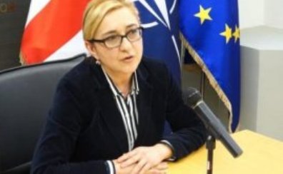 Gürcüstanın yeni xarici işlər nazirinin adı bəlli oldu