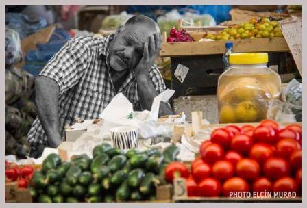 “Çəkirəm haa...” - Azərbaycan fotojurnalistlərinin 2014-cü ildəki  ən yaxşı əl işləri - FOTOLAR 