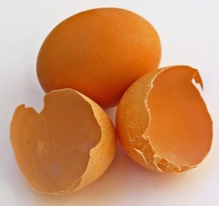 Yumurtanı yedikdən sonra qabığını atmayın - FAYDALI MƏSLƏHƏT