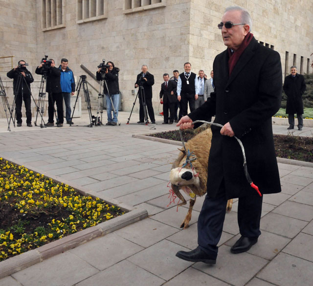 Deputat parlamentə qoç gətirdi: “Xalq bu iqtidarı qoç kimi yıxacaq” - FOTOLAR