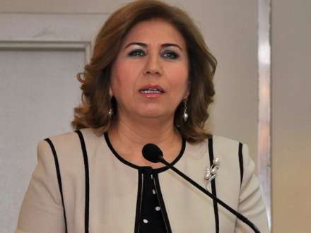 Bahar Muradova: “Bizim bəzi siyasətçilər nə danışdıqlarına fikir vermirlər”