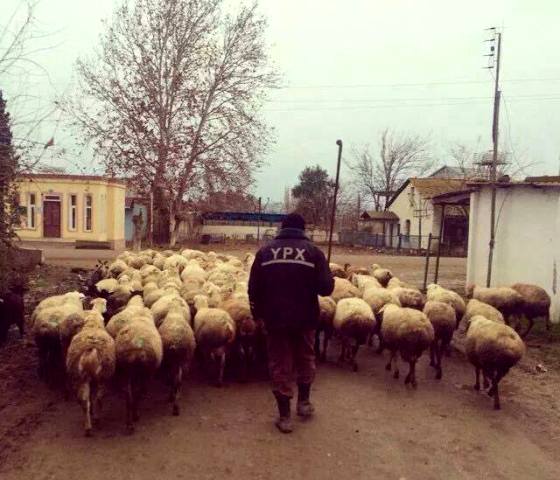 Günün içindən şərhsiz FOTO