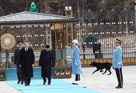 Ərdoğanın Berdimuhammedovla görüşünə “qatılan” it – FOTO 