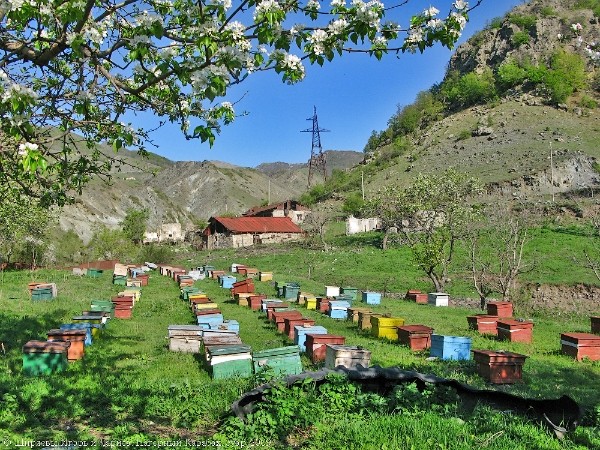 Kəlbəcərin işğalından 22 il ötür