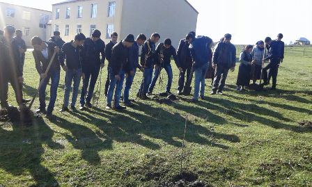 Deputat Gədəbəydə ağac əkdirib - FOTO