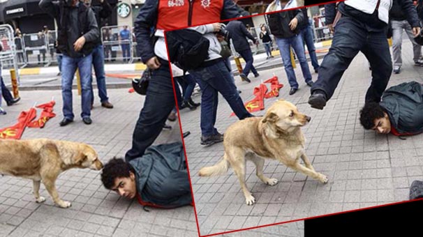 Kommunistlər Türkiyəni qarışdırdı - FOTOLAR