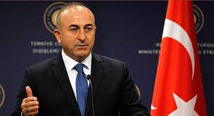 Azərbaycanlı jurnalistlər Çavuşoğlu ilə görüşəcəklər
