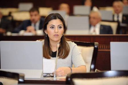 "AŞPA-da Azərbaycanda vətəndaş cəmiyyətinin inkişafını sübut edəcəyik"