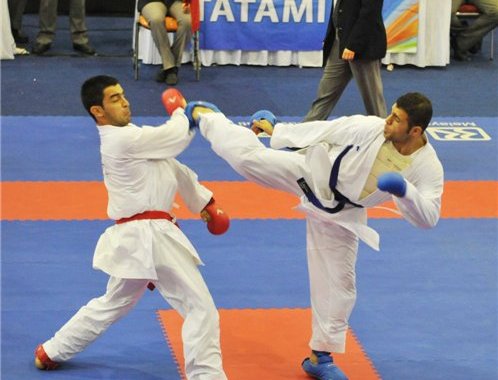 “Karateçilər yarışlara tam hazırdı” - Milli federasiyanın baş katibi