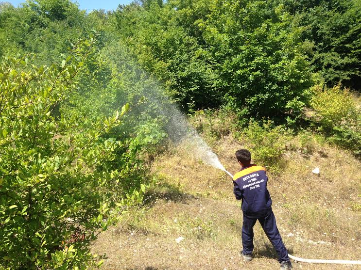 Meşələrdə yanğın təhlükəsi yaranarsa…