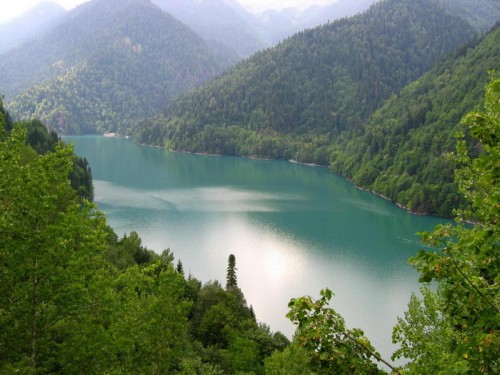  Tək milli parkları deyil, meşələri də çirkləndirənlər "qara siyahı"ya salına bilər