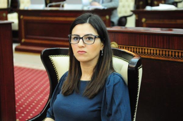 “Müəyyən xarici dairələr Azərbaycanı da alət kimi istifadə etməyə çalışırlar”