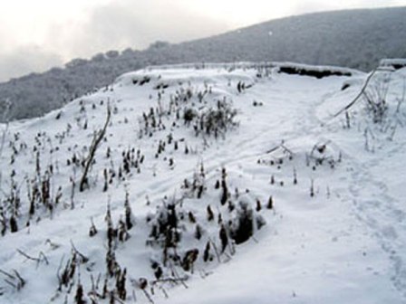 Azərbaycana qar yağıb