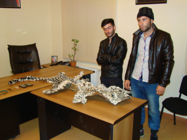 Azərbaycanda bəbir ovçusunu 9000 manat cərimələdilər