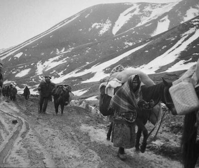 Avropa Məhkəməsi azərbaycanlı qaçqınlara məktub göndərib