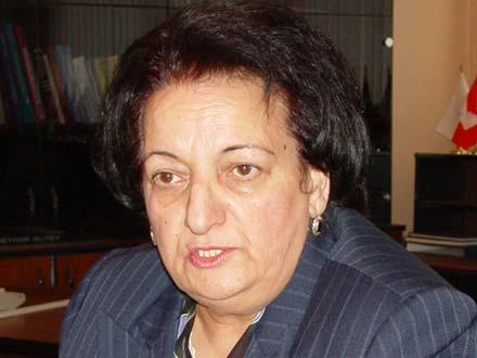 “Elmira Süleymanova media ombudsmanı kimi işini düzgün qurmayıb”