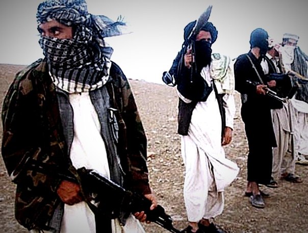 “Taliban” liderinin Putinlə görüşü təkzib edildi