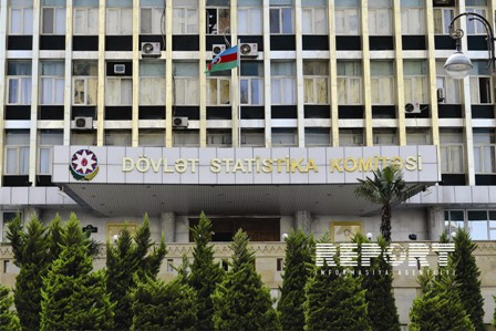 Nazirliyin şöbə müdiri Statistika Komitəsinin Aparatına rəhbər təyin edilib