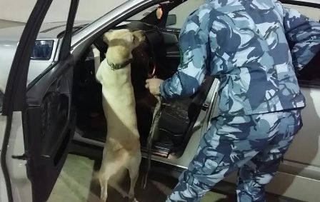 Gömrükdə 9206 hüquqpozma faktı aşkarlanıb - FOTO