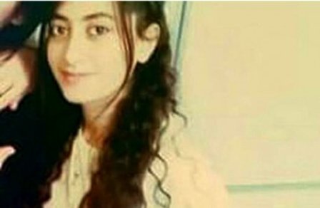 Təhsil Nazirliyi tələbə qızın intiharını araşdırır