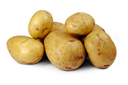  GMO bitki toxumlarından istifadə vəziyyəti araşdırılacaq