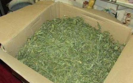 Qoz satan azərbaycanlı qandallandı - Narkotikə görə