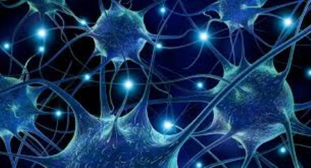  Xərçəngi məhv edən qidalar 