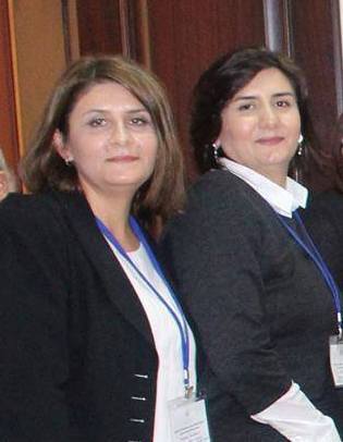 Həmkar bacılar