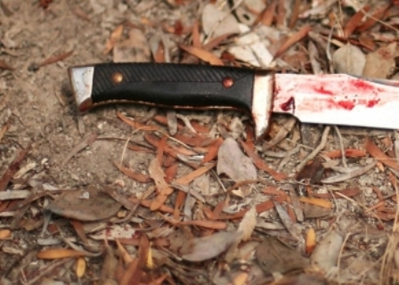  Lerikdə baş verən tükürpədici cinayətin təfərrüatları məlum olub 