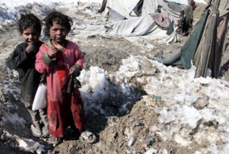 Suriyalı uşaqlarla bağlı statistika – 3.7 milyon nəfər...