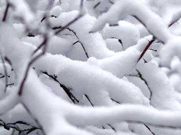 Naxçıvana 22 sm qalınlığında qar yağıb