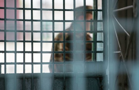 Ombudsman təcridxananı YOXLADI: nazirliyə müraciət olunacaq