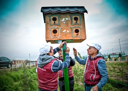 "Kapital Bank" yaşıllaşdırma işlərini davam etdirir - FOTOLAR