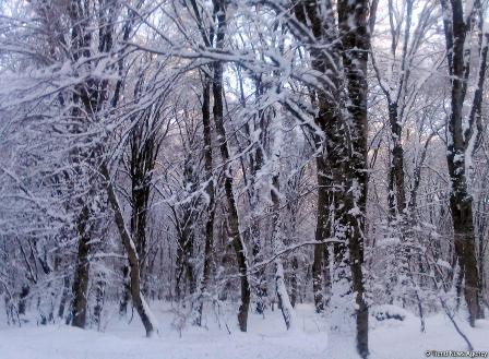   Respublikamızda qar ehtiyatı azalıb