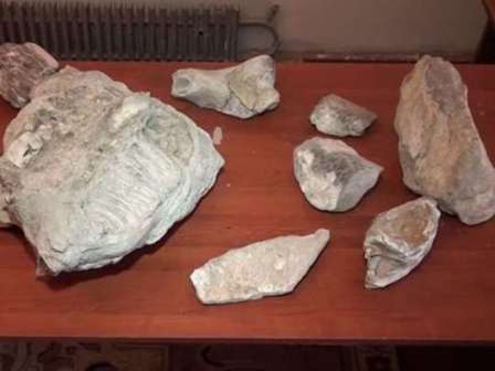  Mingəçevirdə 4 milyon il yaşı olan fil sümükləri tapılıb  - Video 