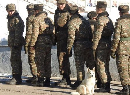 Qarabağda yaralanan erməni əsgərlər Yerevana gətirilir