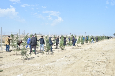  “Azərsu”dan vacib aksiya