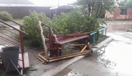  Güclü külək Tbilisidə həyatı iflic edib  - VİDEO