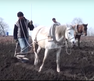 Deputatlar kəndlilərdən DANIŞDILAR: “Nərd, domino oynayanlar ac qalacaq”