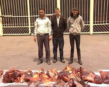 1 tona yaxın at əti satmaq istəyənlər tutuldu - Dəhşətli FOTOLAR