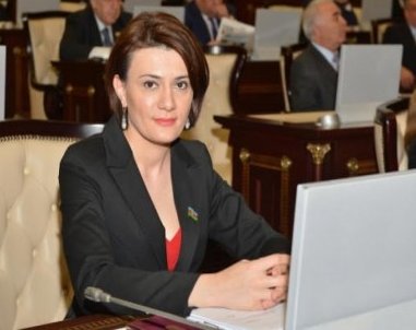 Yeni deputat Ailə, qadın və uşaq komitəsindən çıxmaq istəyir