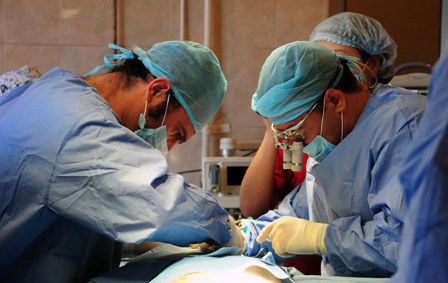 Azərbaycanda orqan transplantasiyalarının sayı A&Ccedil;IQLANDI