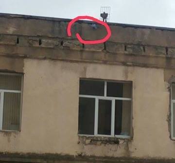 Universitetin damındakı g&ouml;yər&ccedil;inin &ouml;l&uuml;m-qalım m&uuml;barizəsi - FOTO