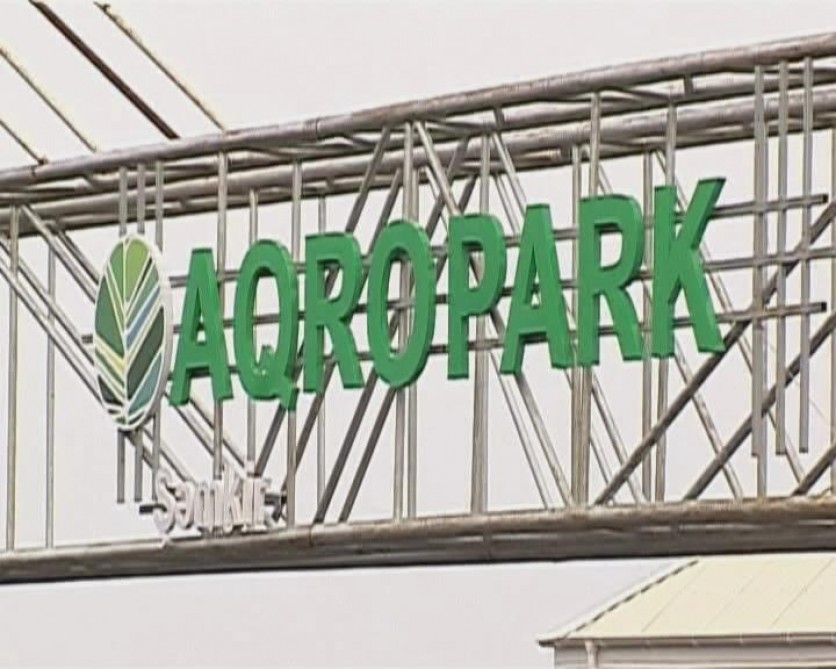 Aqroparklara 43 milyon manat güzəştli kredit verilib