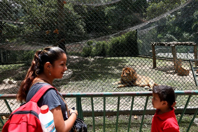 Ac venesuelalılar yemək &uuml;&ccedil;&uuml;n zooparkda heyvanları &ouml;ld&uuml;r&uuml;rlər