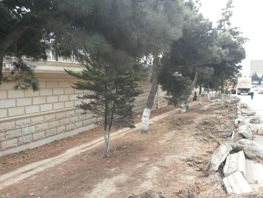 Yol tikintisi ilə bağlı 34 ədəd ağac k&ouml;k torpağı ilə birgə k&ouml;&ccedil;&uuml;r&uuml;l&uuml;r