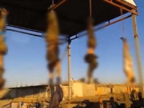 İŞİD 19 suriyalını qurbanlıq heyvan şəklində qətlə yetirib