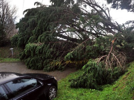 Qasırğa 28 &ccedil;inlinin həyatına son qoydu