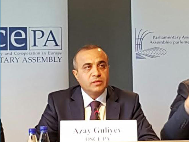 Azay Quliyev Monteneqro se&ccedil;kiləri ilə bağlı ATƏT PA-nın rəsmi rəyini a&ccedil;ıqladı
