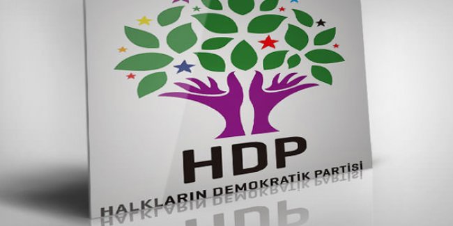 Türkiyə səfiri HDP-çi deputatların həbsinə TOXUNDU